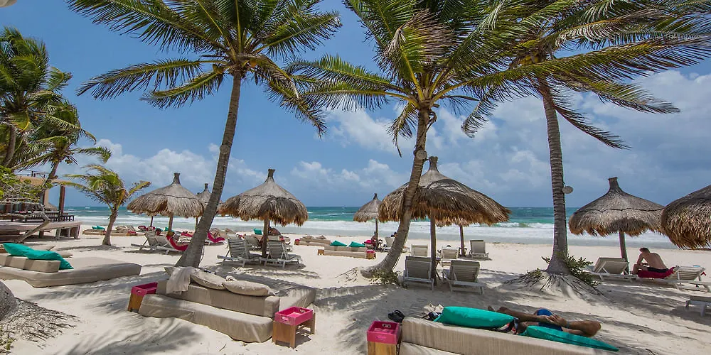 La Zebra Tulum, A Small Luxury Hotel